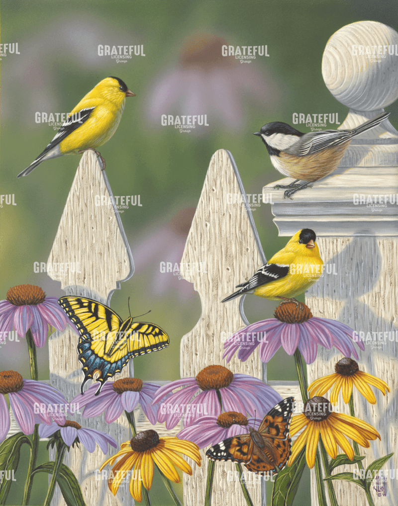 Summer Meeting Place