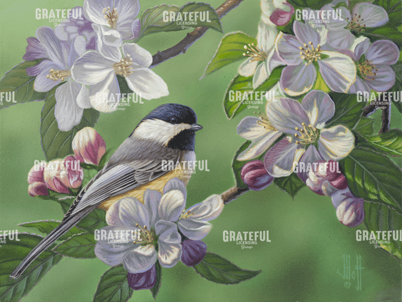 Apple Blossom Chickadee