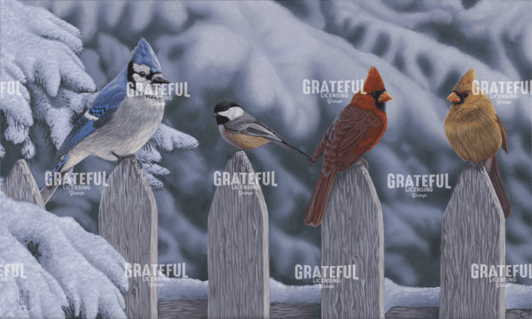 Winter Birds