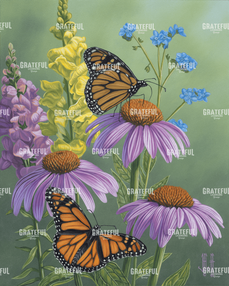 Garden Flower Monarchs