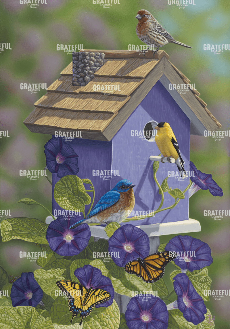 Primarys Butterflies