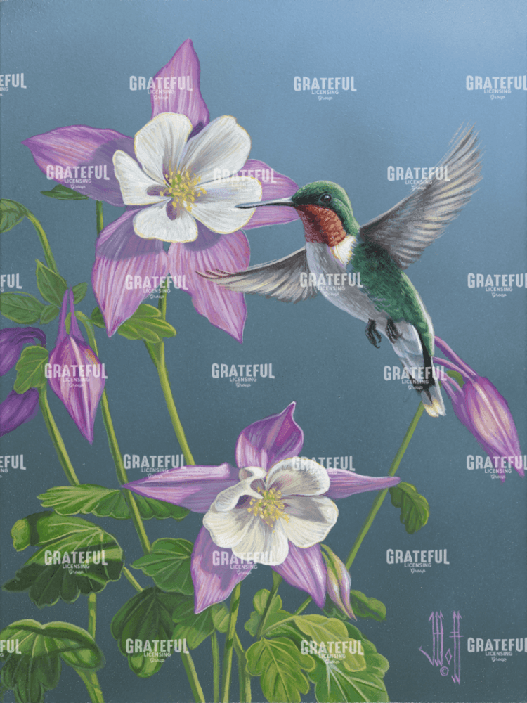 Summer Hummingbird
