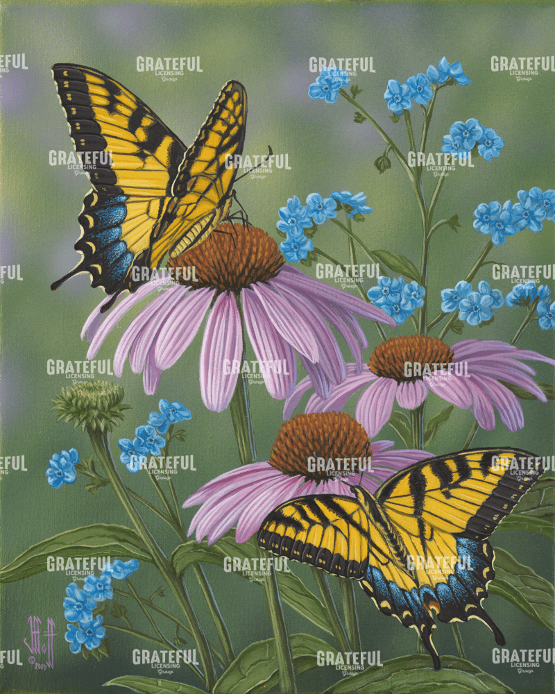 Summer Tiger Forget Me Nots