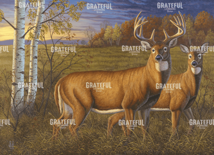 Whitetail Dawn