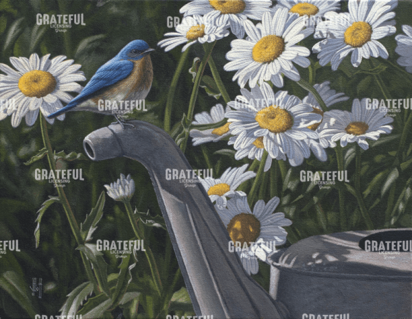 Bluebird Daisies