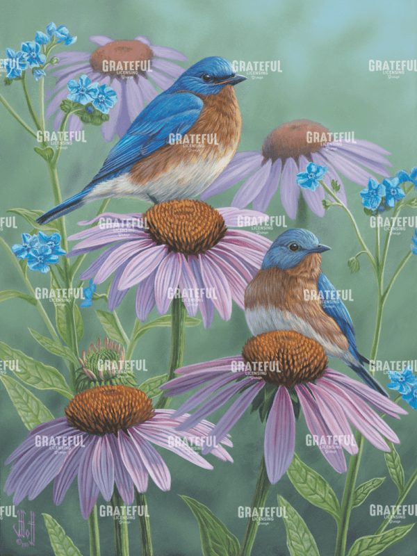 Bluebirds of Summer