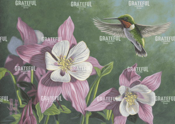 Hummingbird Pink