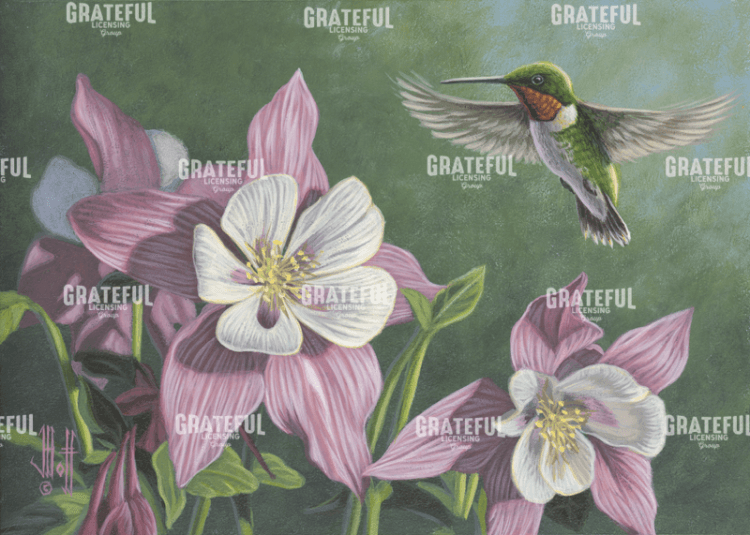 Hummingbird Pink