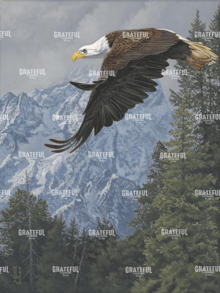 American Glory