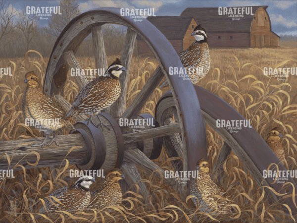 Southern Bobwhites