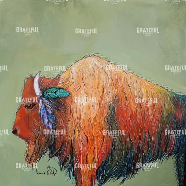 Bison