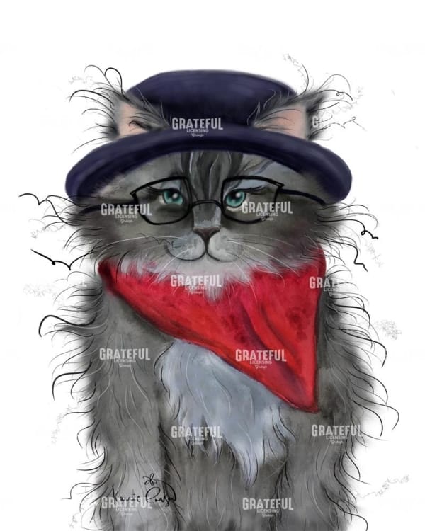 Cat In Hat