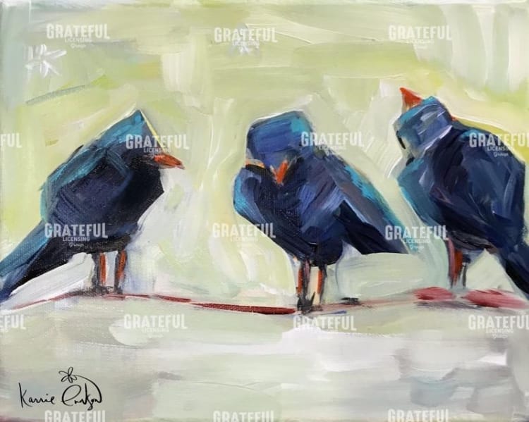 Crows