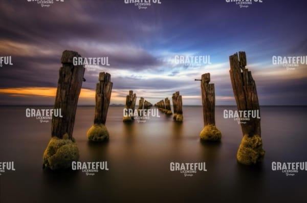 geelong-1.jpg