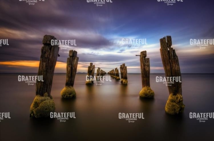 geelong-1.jpg