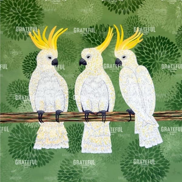 Cockatoo Trio
