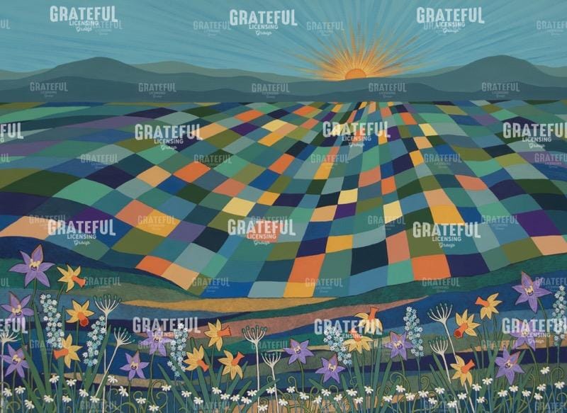 By the Light of the Sun