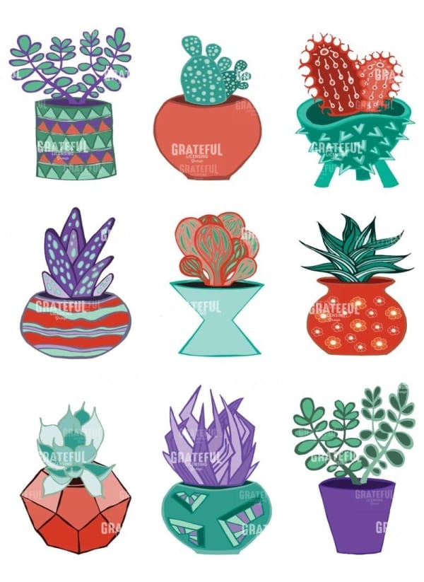 Succulents
