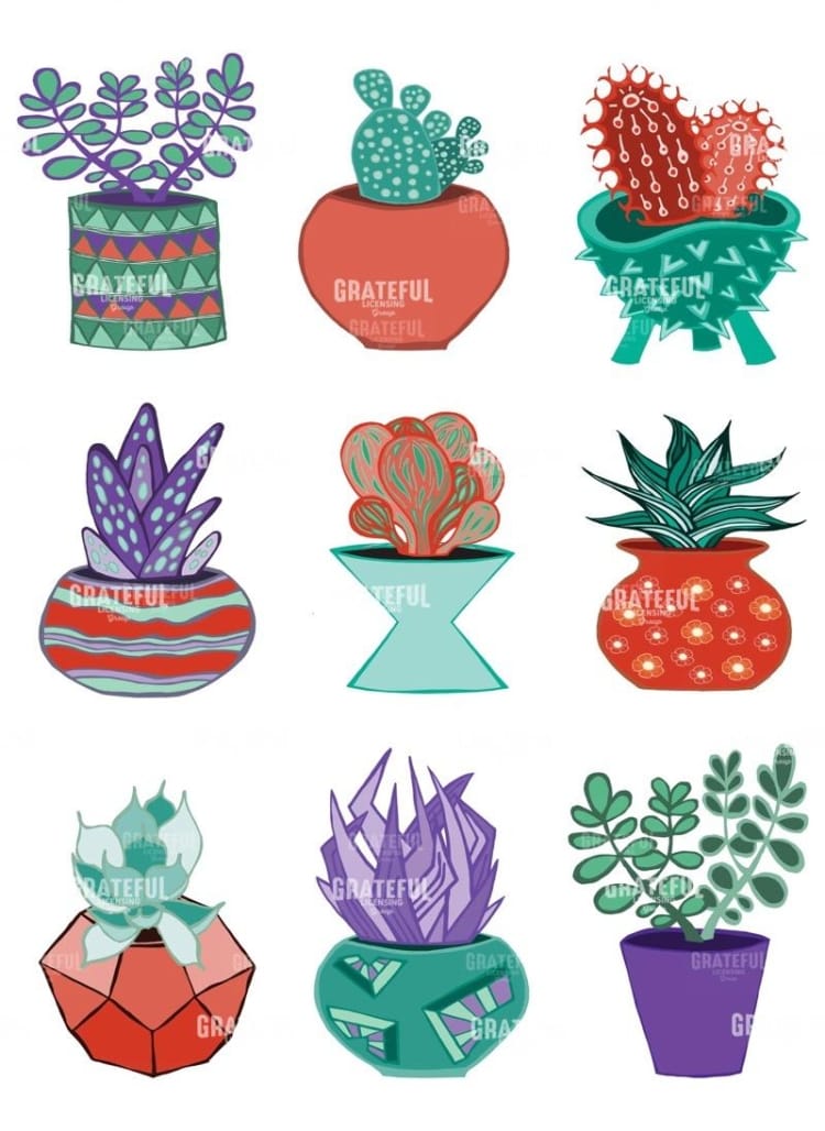 Succulents