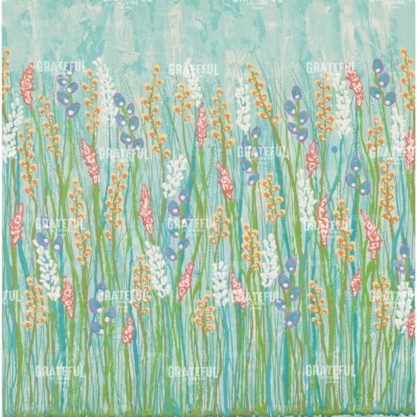 Field of Streams