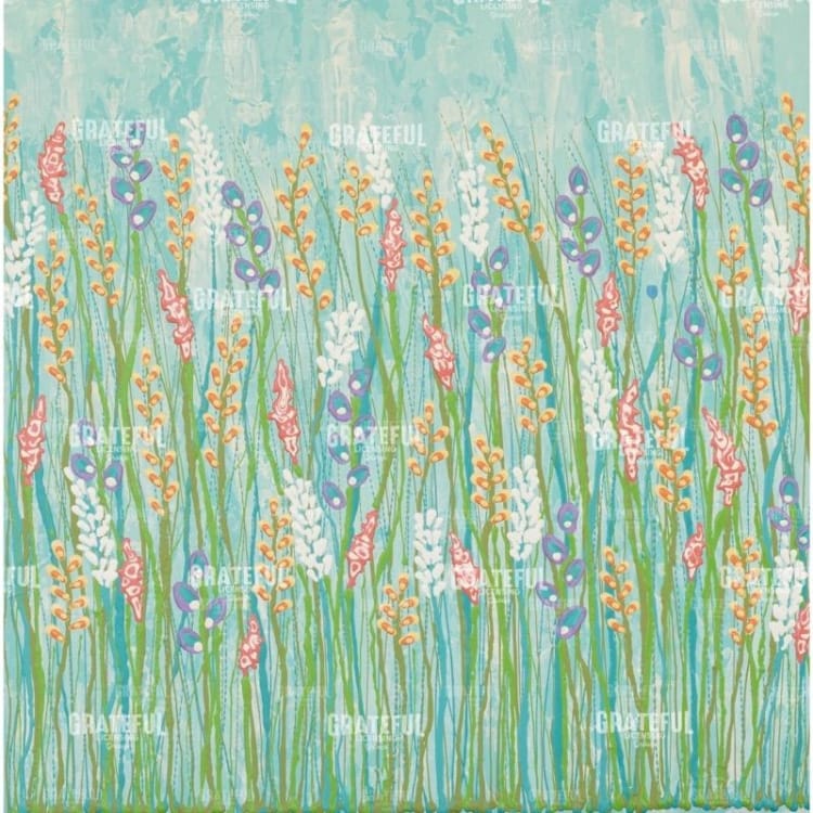 Field of Streams