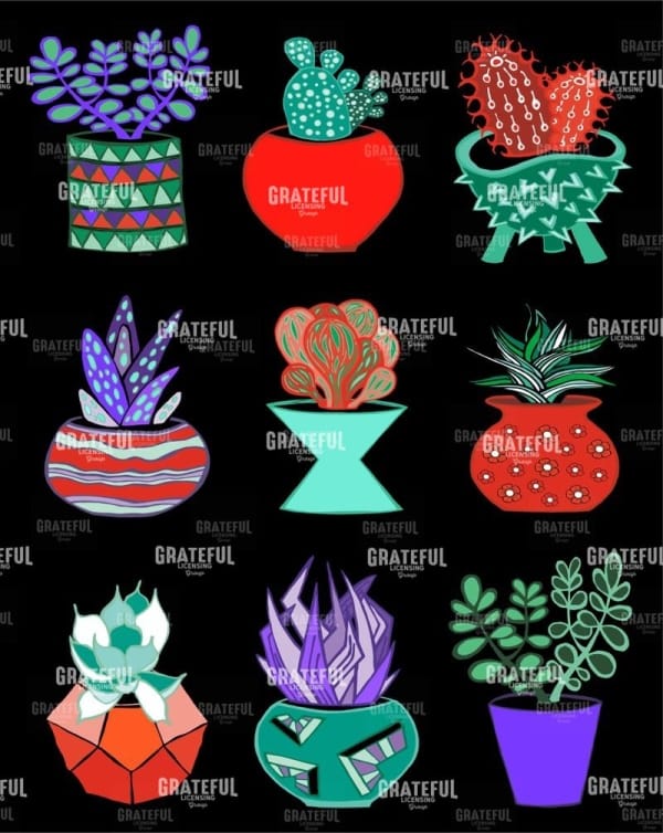 Cacti in Pots