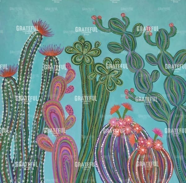 Cacti 2