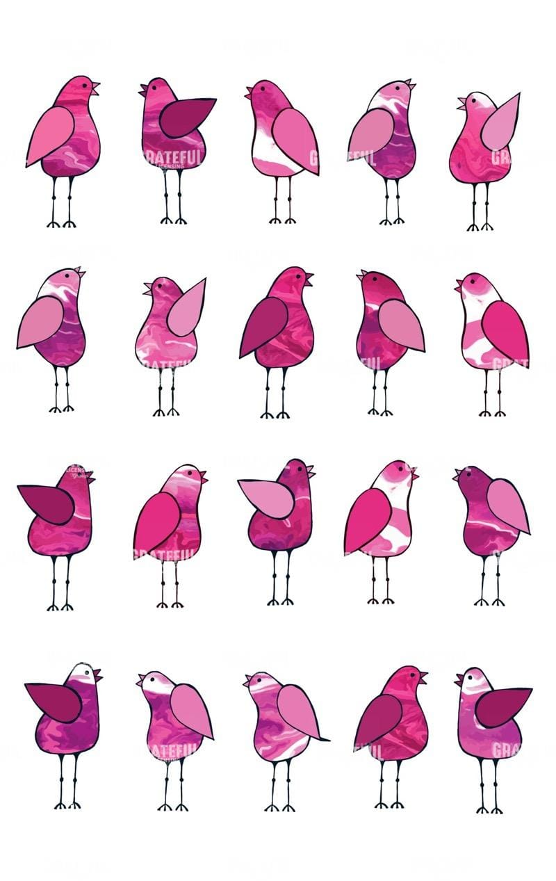 Pink Bird