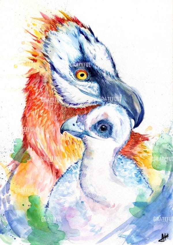 V. Vivacious Vultures