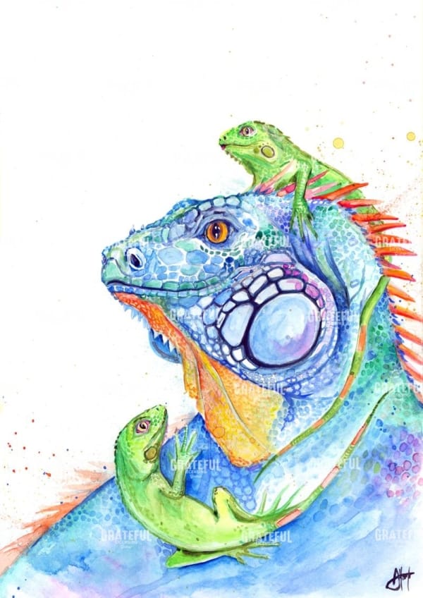 I. Here be Dragons