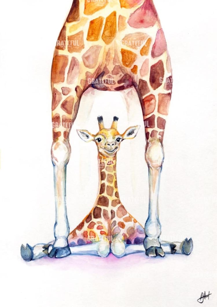 G. Gorgeous Giraffes