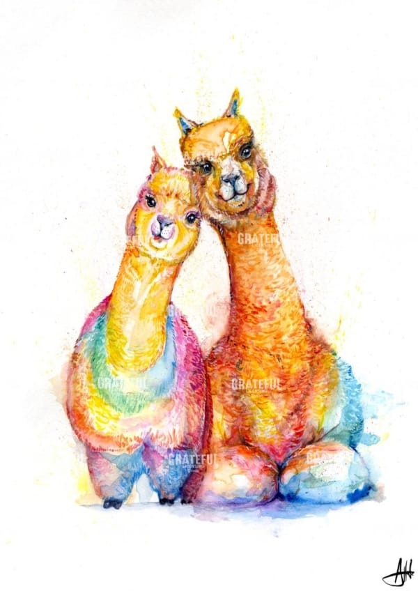 A. Packa Alpaca