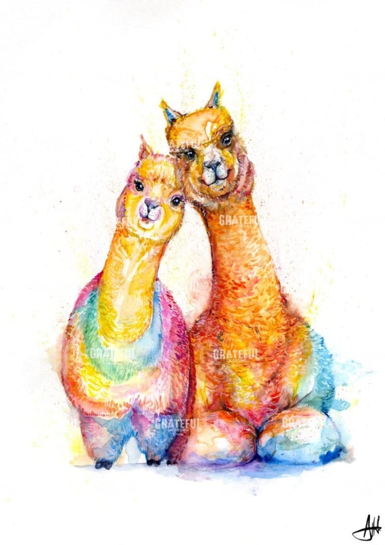 A. Packa Alpaca