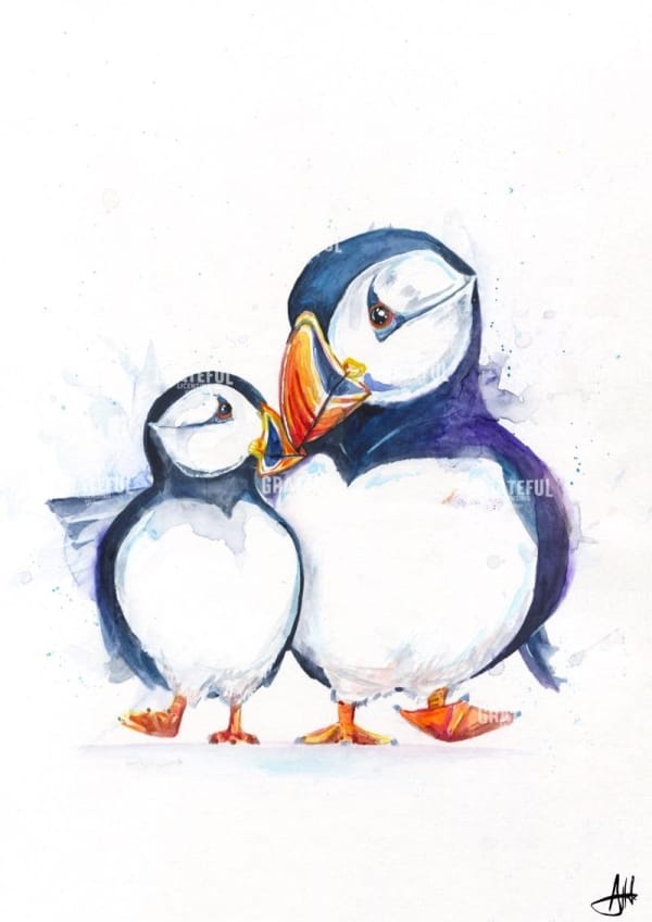 P. Parading Puffins