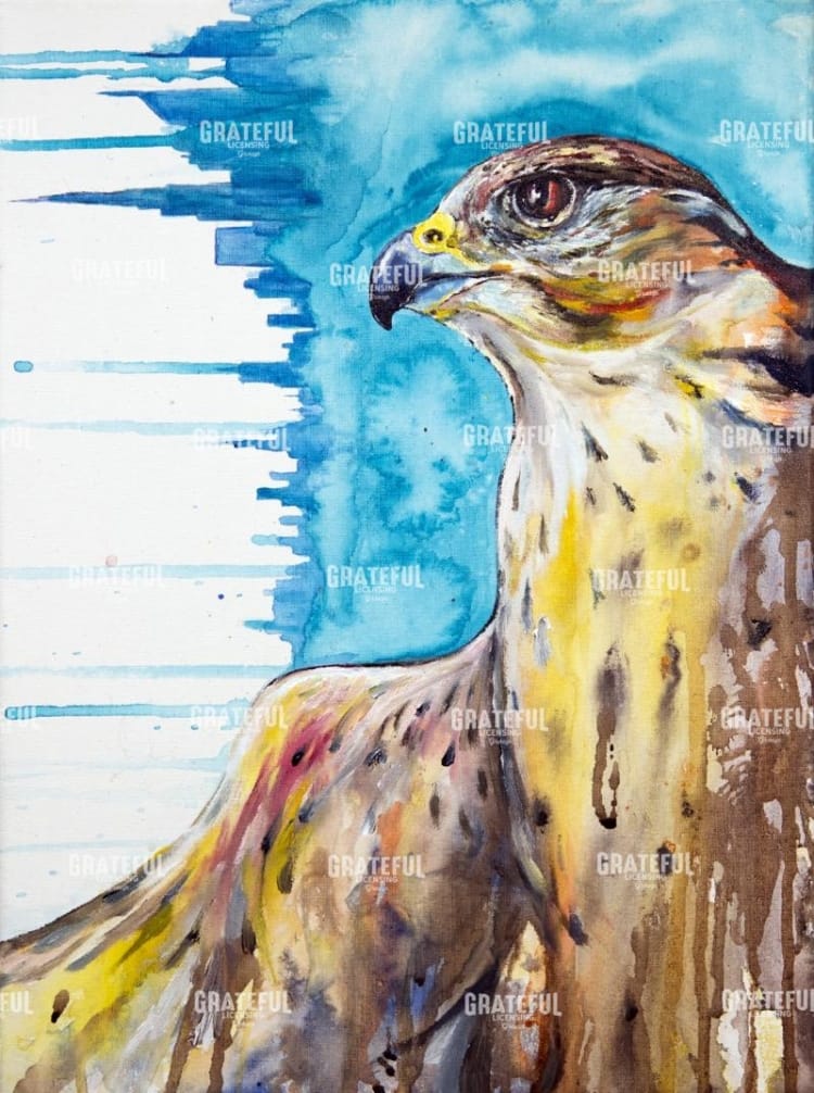 Falcon