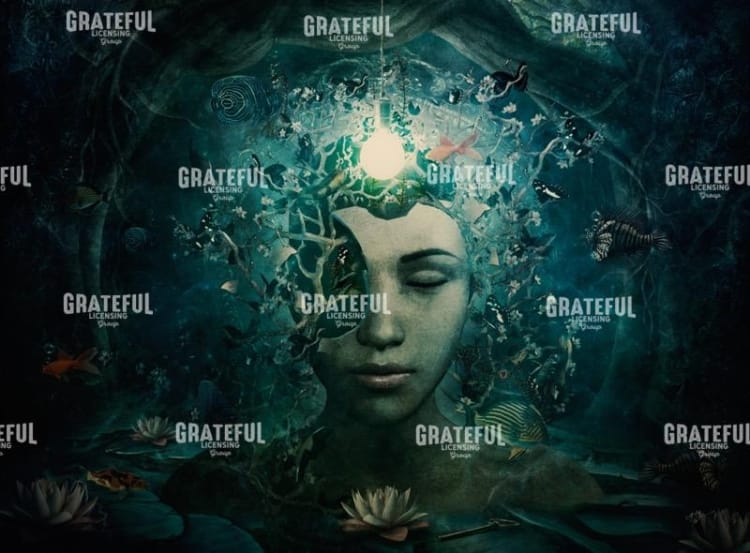 Inner Knowing