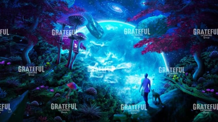 Oasis