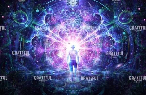 Conscious Self