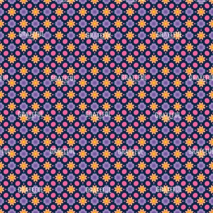 Solar Vision