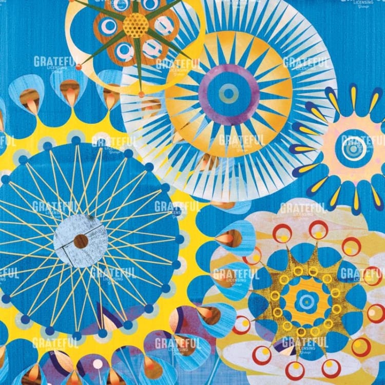 Cirrosa