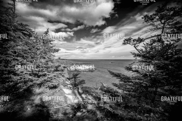 Autumn Afternoon At West Quoddy Head