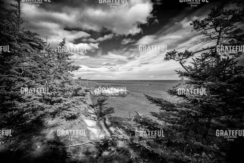 Autumn Afternoon At West Quoddy Head