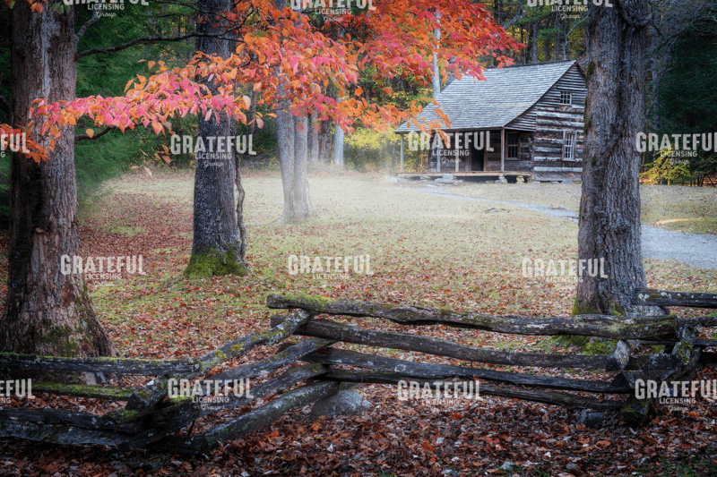 Autumn at Carter Shields Cabin