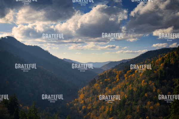 Autumn in Appalachia