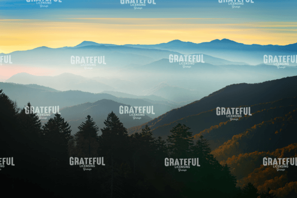 Autumn Mist at Newfound Gap