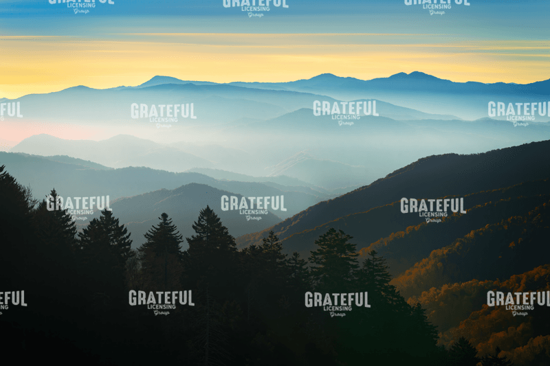 Autumn Mist at Newfound Gap