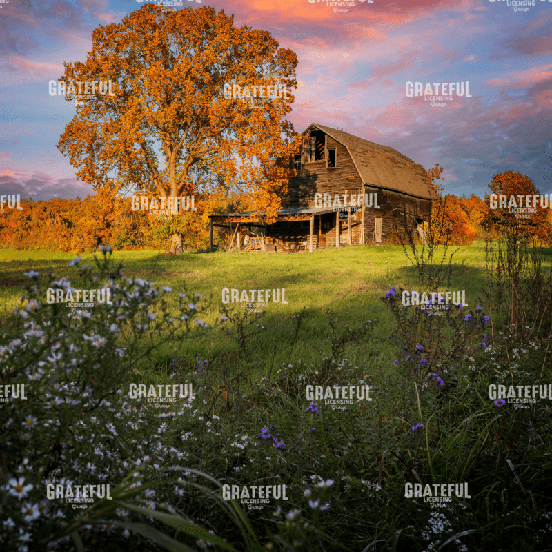 Autumn Sunset by the Barn