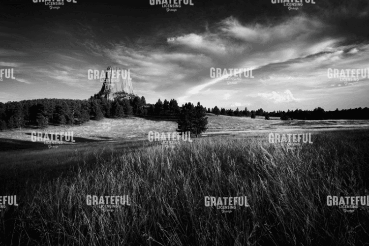 Devils Tower Black & White