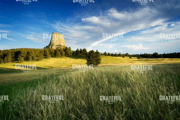 Devils Tower