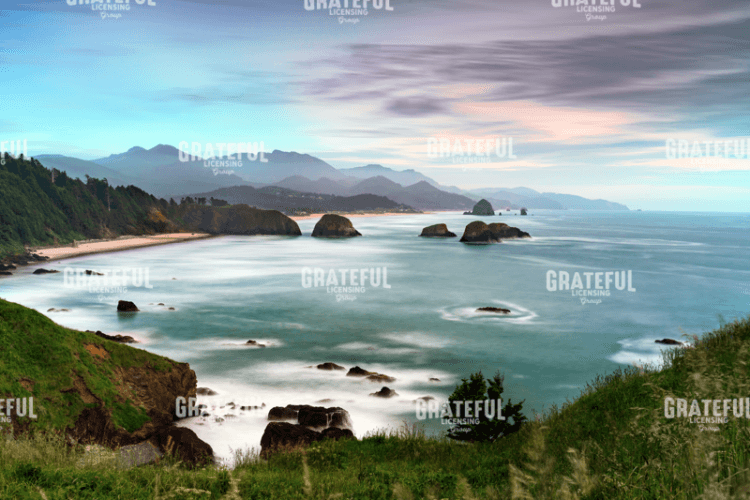 Ecola